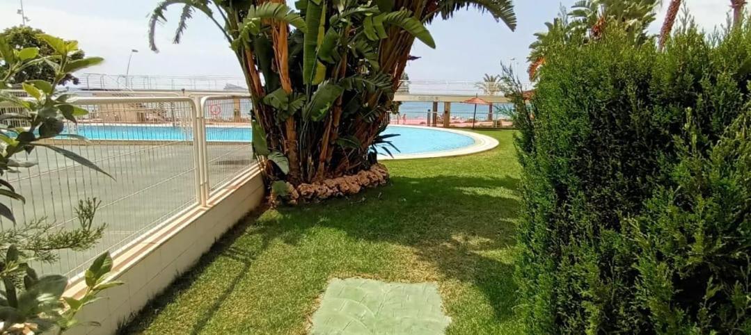 Acapulco First Line Appartement